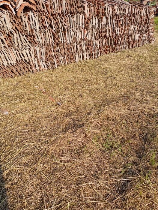 Țiglă Jimbolia 253