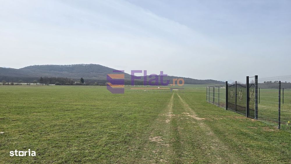 Teren Harman, 500 Mp