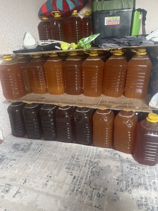 Продам мед разнатравье и подсолнуха