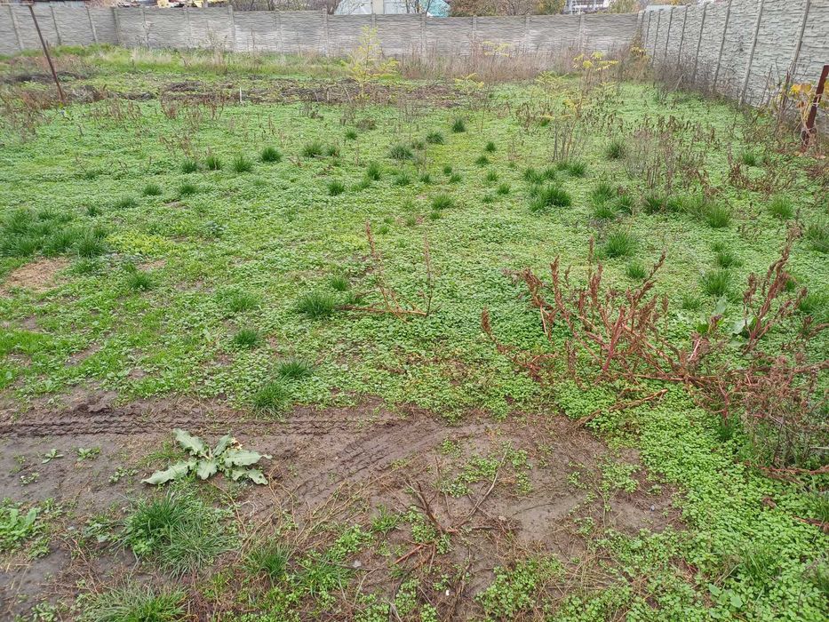 Inchiriez casa, teren, spatiu comercial, hala