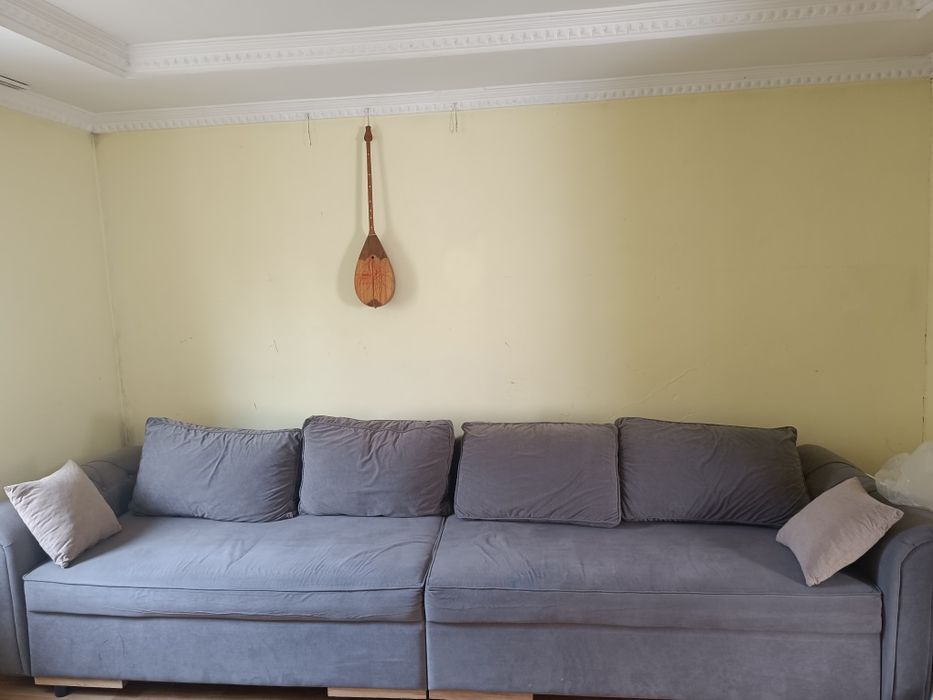 Раскладные Диван, серый