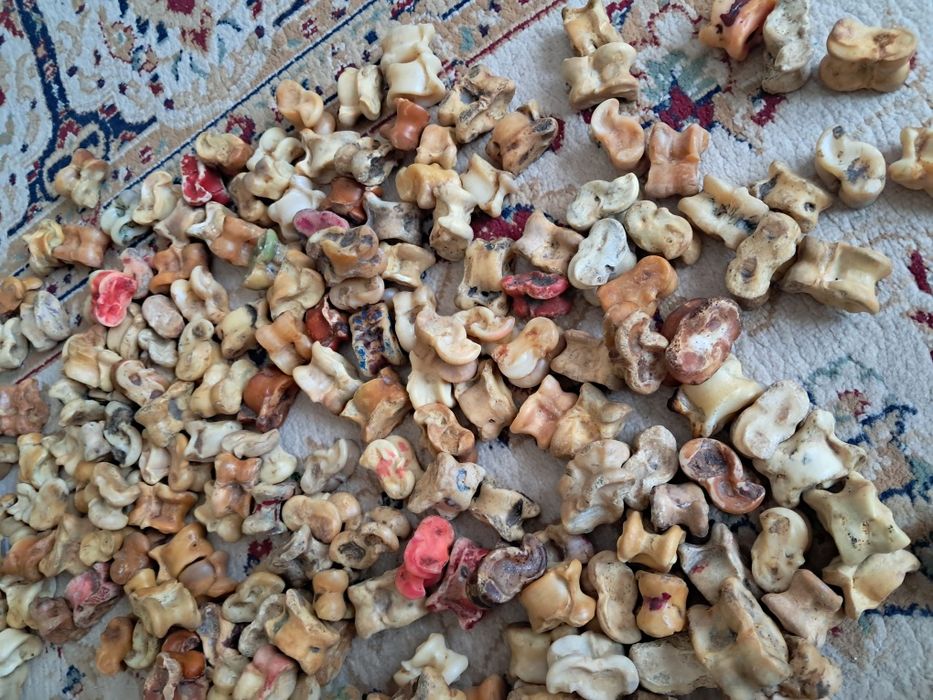 Асыки бараньи игральные натуральные.