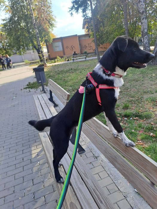 ДОМ за Миа София