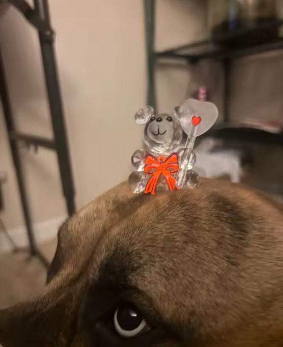 Стъклено мече за подарък за  8 март