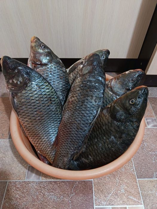 Домашний Рыбный фарш