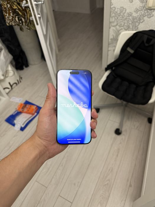 16 PRO MAX 256GB