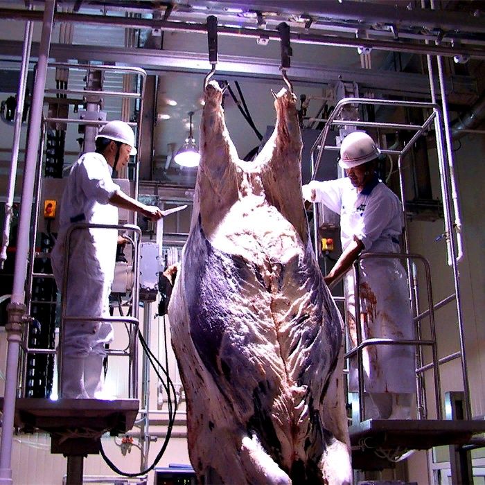 Убойный цех для КРС и МРС