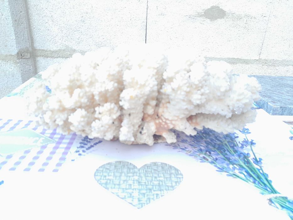 Морски артикули декорация