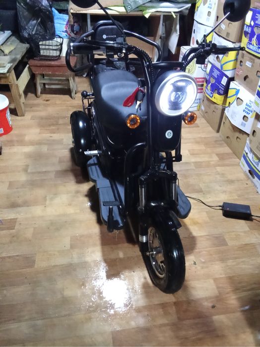 Tricicleta electrica