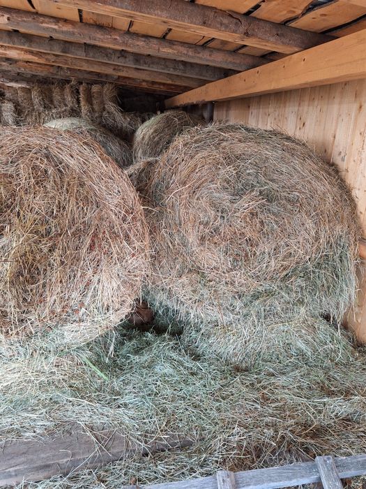 Vand baloti de otava