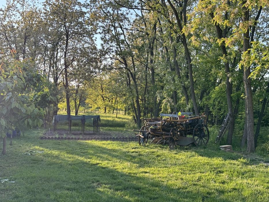 Vand casa in Lugojel