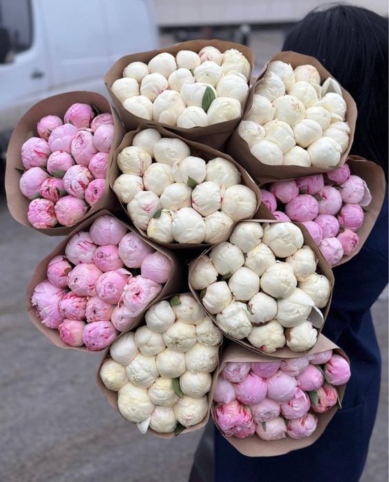 Букеты пионов,розы , цветы