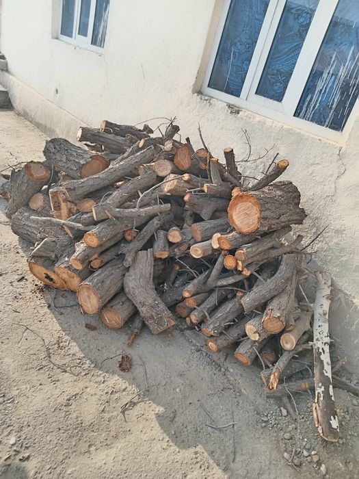 Kunda sotiladi narxi kelishiladi