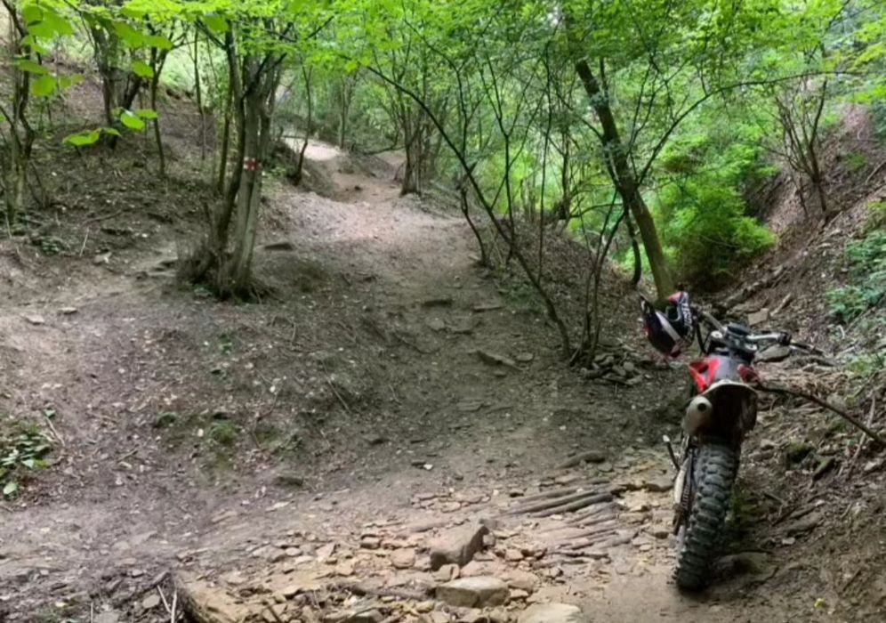 Husqvarna TE 250 2010