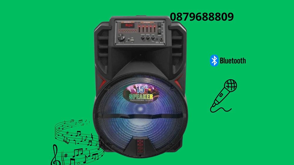 Караоке тонколона 15 инча