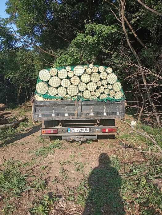 Lemn de foc  esență  tare