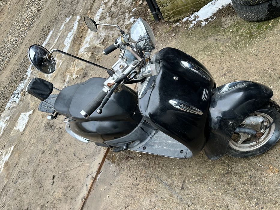 Scuter Retro 50 cm/4 T 2450 LEI