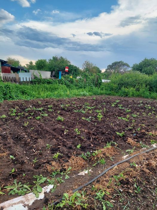 Продается Дача с участком для хозяйства