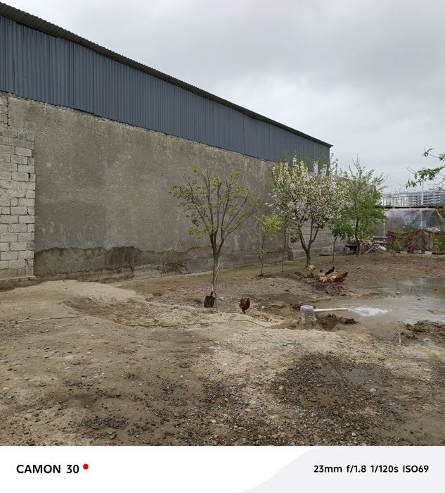 Srochna Hovli sotiladi