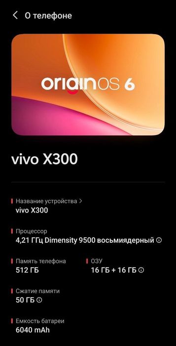 Vivo x300 16/512