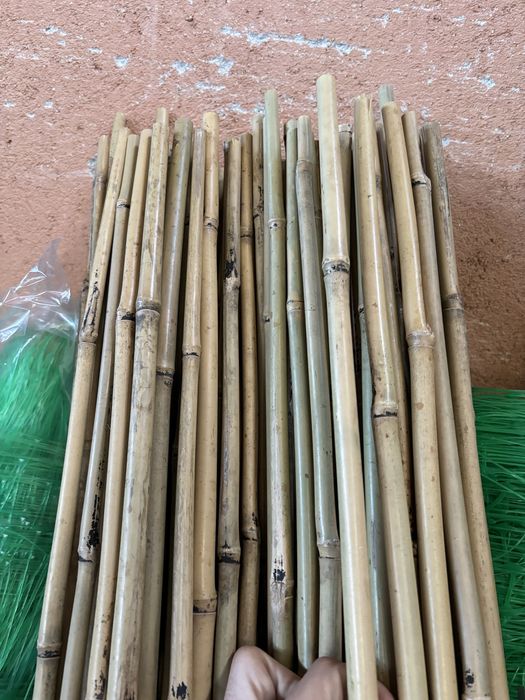 Колчета за укрепване на домати от БАМБУК - естествени