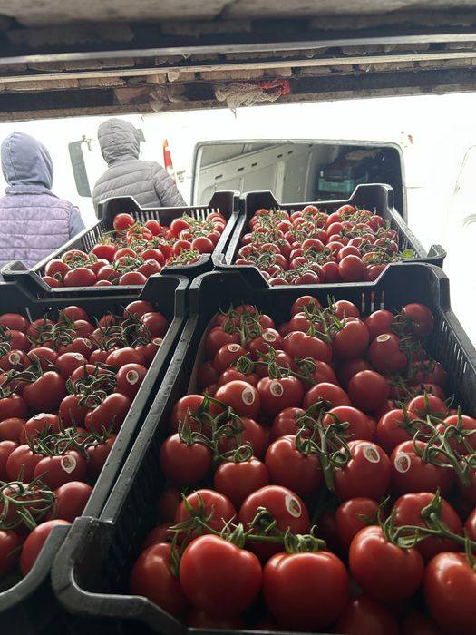 Rosii ciorchine ungaria lux