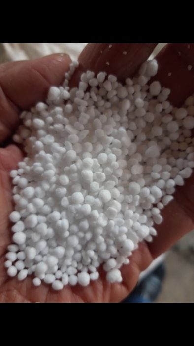 Кармабид (мочевина)