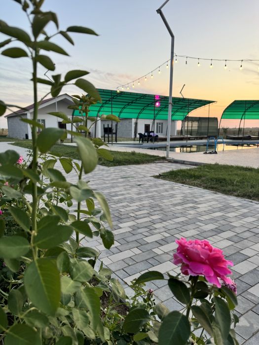 Домики посуточно