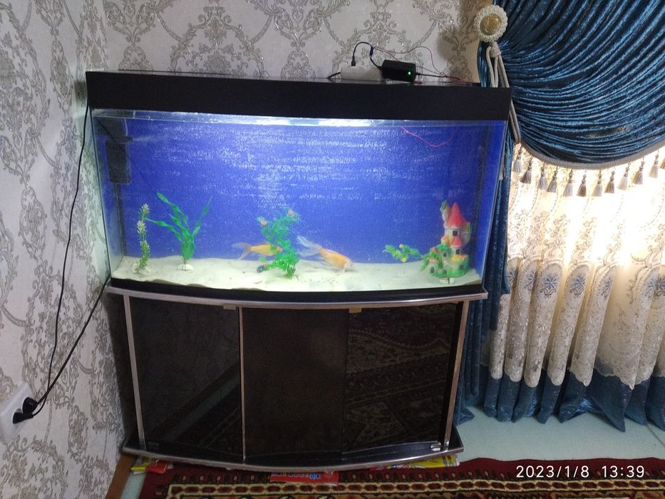Akvarium noviy pochti ne ispolzovali. 200litr s tumbockoy