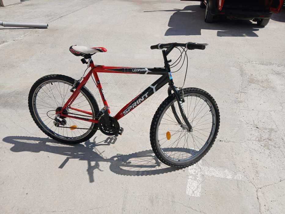 Sprint leopard L-1