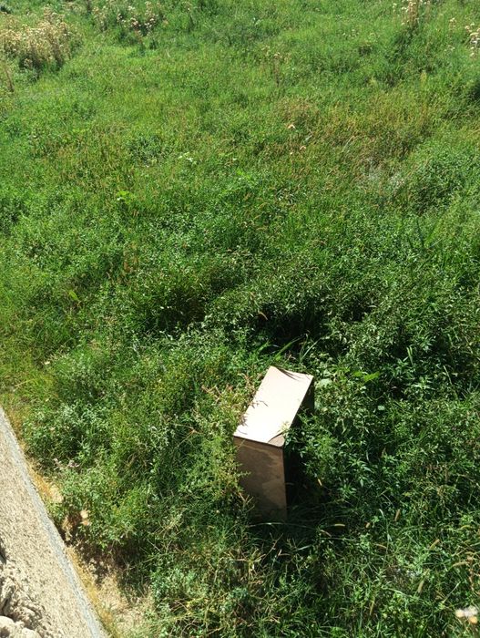 Ер сотилади 60 сотих