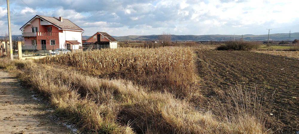 Vând teren intravilan in Cuzdrioara,750 mp