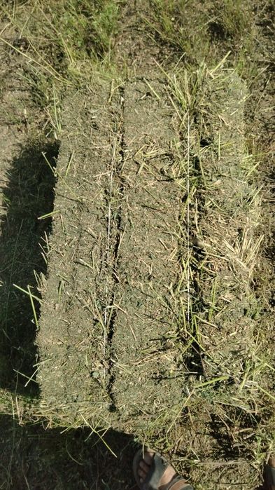 Люцерно сено жонышка