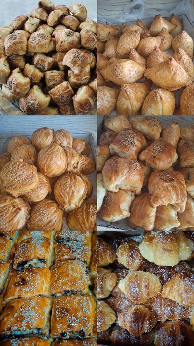 Domashniy pishiriqlar