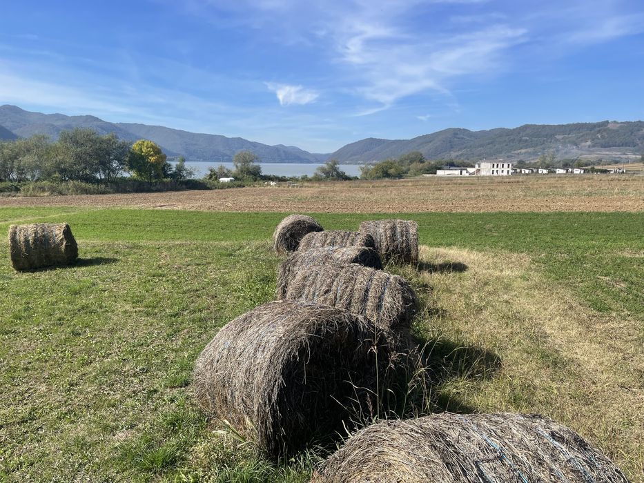 Vand teren cu iesire la Dunare