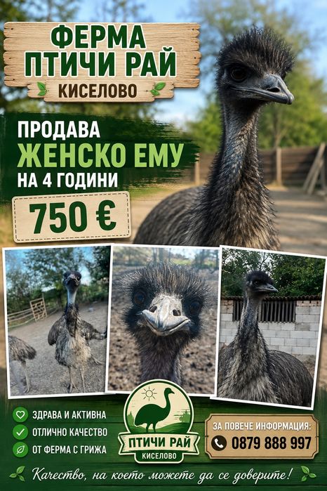 Женско ему на 4 години
