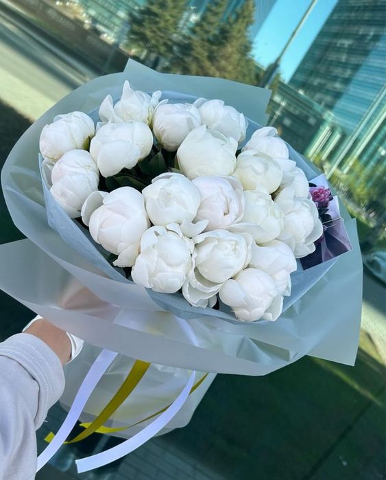 Пионы Розы оптом и в розницу