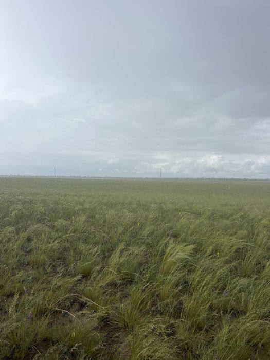 Продам Сено рулонах