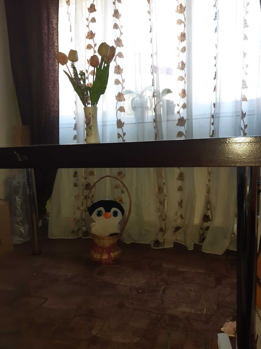 Vând masă lemn masiv