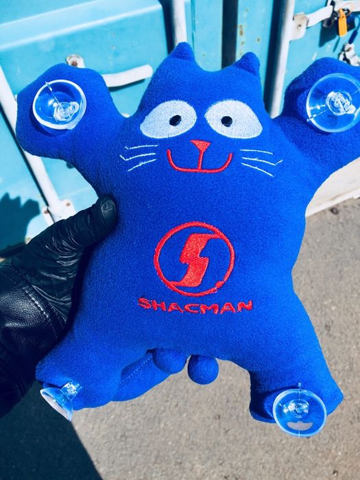 Кот Саймон на лобовое