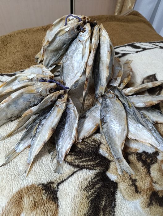 Продам рыбу сушенную