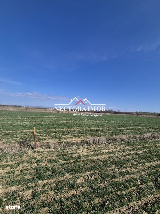 NECTORA IMOB-Teren Intravilan 537 mp, Zona Solay, 250 m de asfalt