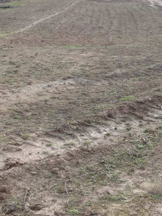 Yer uchastka sotiladi