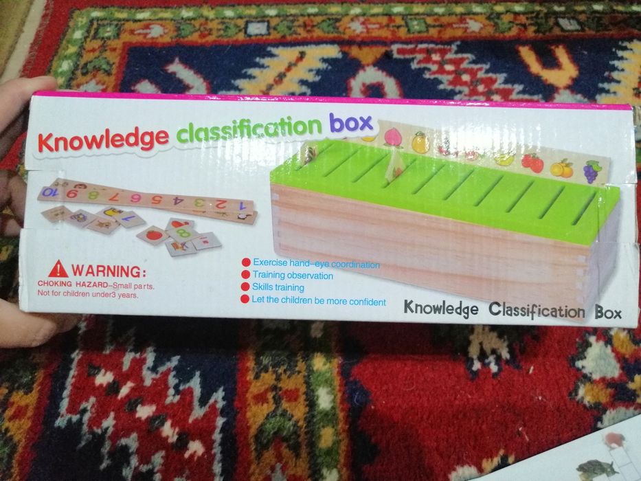 Сортер развивающий