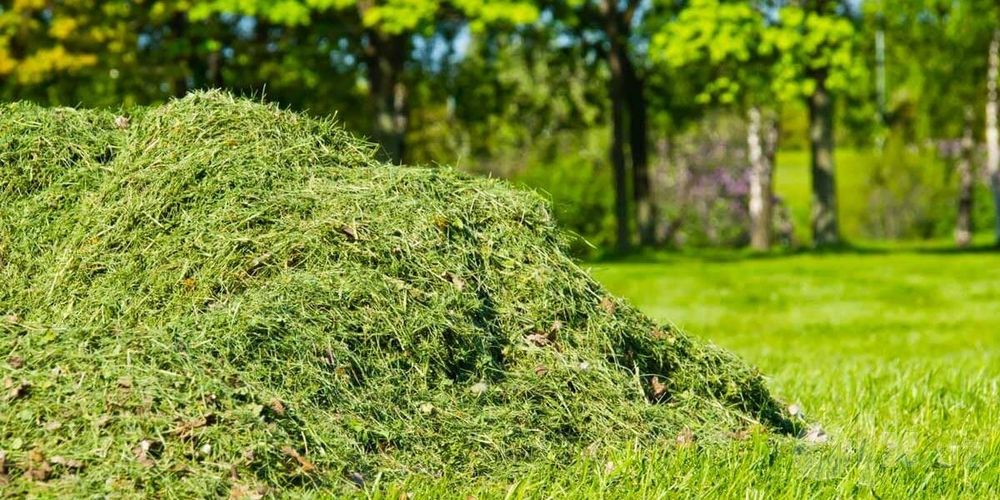 Покос травы и уборка участка