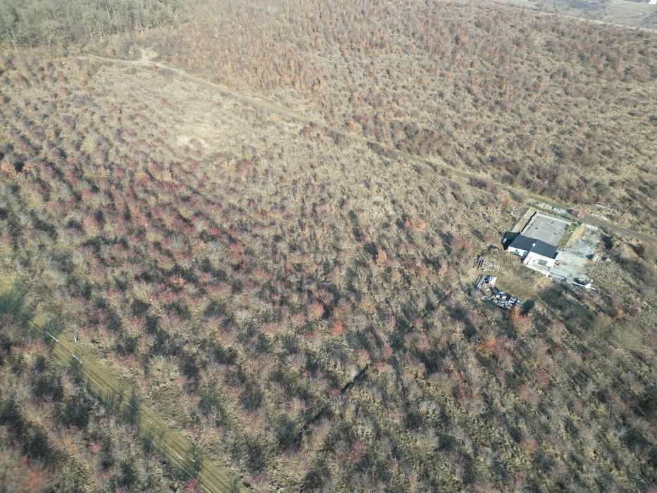 Teren de vanzare, Livezeni extravilan