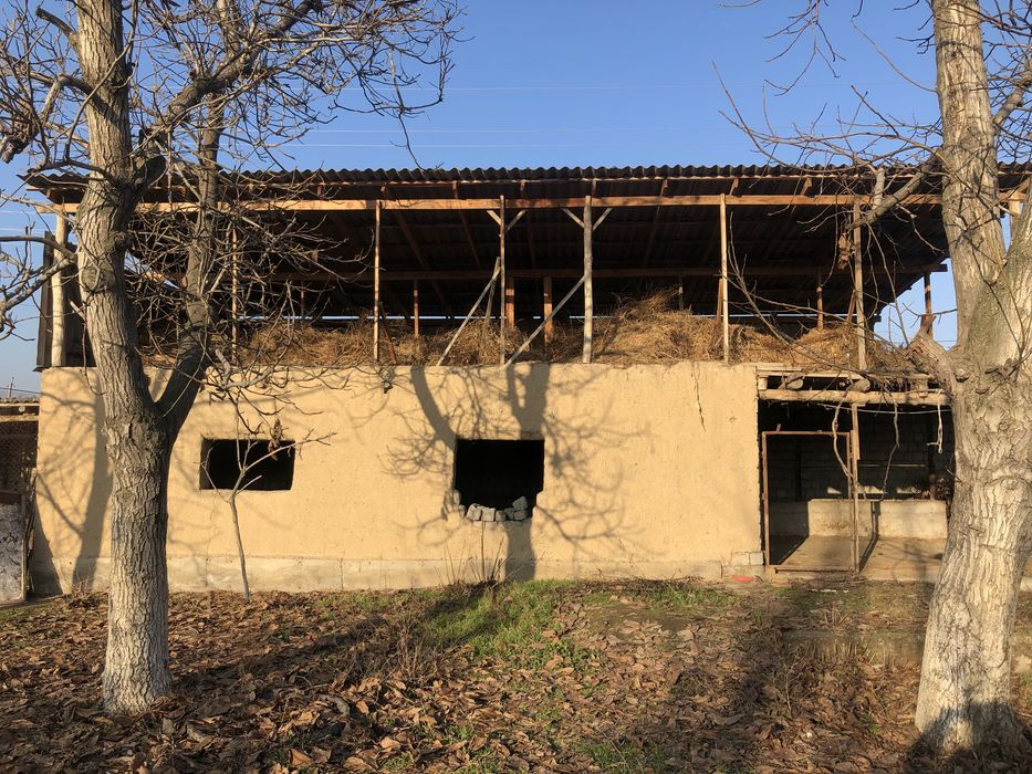 Uchaska sotiladi srocna