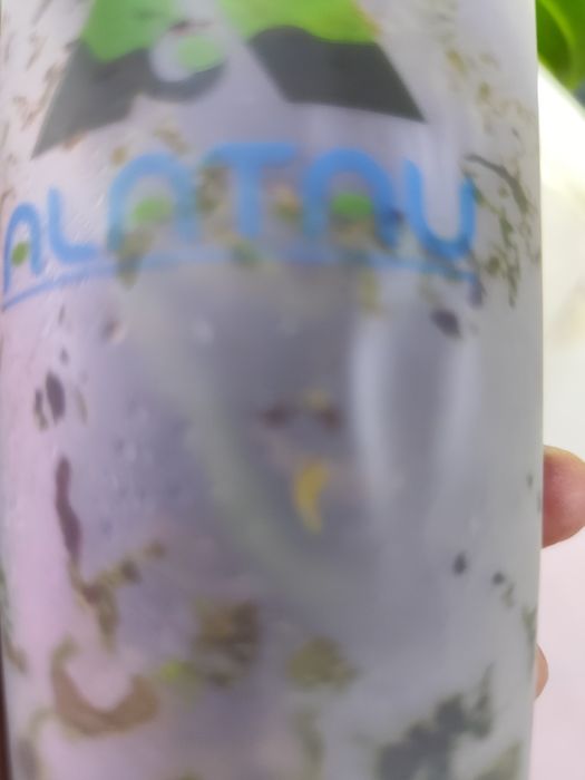 Продам детку орхидеи