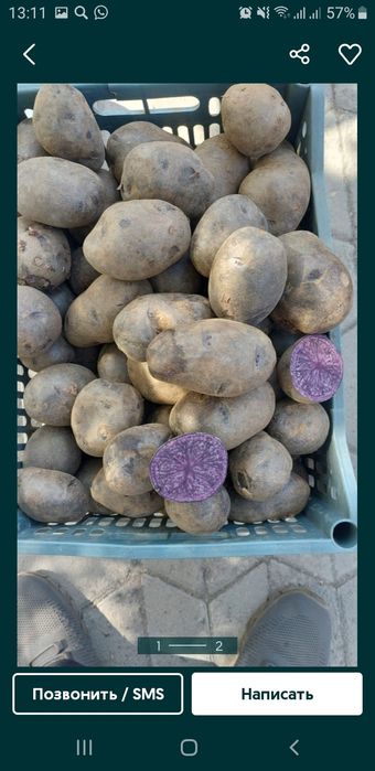 Продам картофель