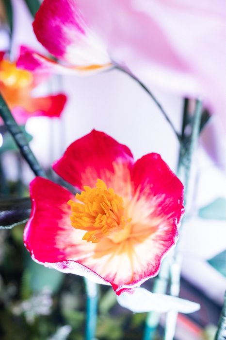 Decor evenimente: nunta, botez, cununie, spatii comerciale